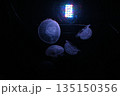 光と浮遊するクラゲ 135150356