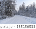 Winter landscape. Snow covered road in winter forest. High quality photo 135150533