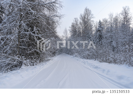 Winter landscape. Snow covered road in winter forest. High quality photo 135150533