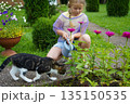 A youthful gardener radiates joy while watering her colorful flower collection with a vintage watering can during a pleasant summer gardening session. 135150535