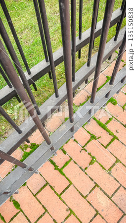 Black metal fence over red brick pavement with green moss growing between stones in a city park 135150838