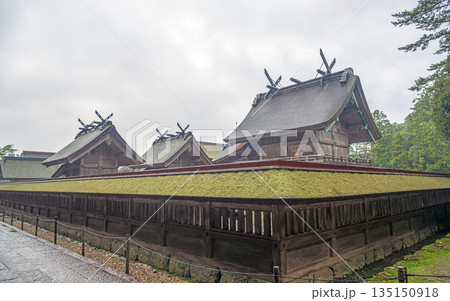 出雲大社 国宝本殿と社殿群 出雲大社 国宝本殿と社殿群 135150918
