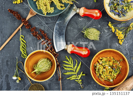 Herbal Medicine Concept Herbal Medicine Concept 135151137