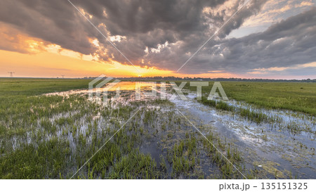 Wetland landscape with orange colored sunset Wetland landscape with orange colored sunset 135151325