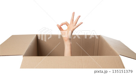 Carton box with approving hand gesture 135151379
