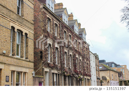Oxford, United Kingdom - Dec 22, 2025: The Ivy Tree House is uniquely ivy-covered building in Oxford on New Inn Hall Street, known for its magnificent ivy growth. 135151397