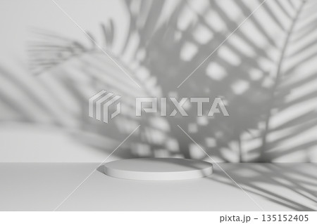 White product stage with tropical leaf shadows on wall. White product stage with tropical leaf shadows on wall. 135152405