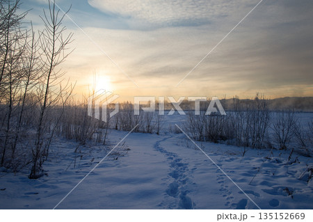 足跡のついた雪原 135152669