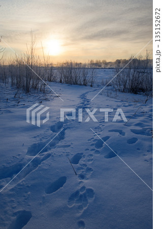 足跡のついた雪原 135152672