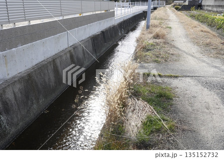 コンクリート製の用水路を流れる水の風景。 135152732