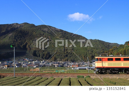 一面のお茶畑が広がる景色の中のんびりと走る大井川鉄道E32形機関車の急行列車_2026/1/3撮影 一面のお茶畑が広がる景色の中のんびりと走る大井川鉄道E32形機関車の急行列車_2026/1/3撮影 135152841