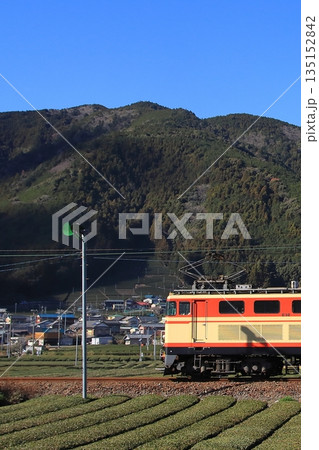 一面のお茶畑が広がる景色の中のんびりと走る大井川鉄道E32形機関車の急行列車_2026/1/3撮影 135152842