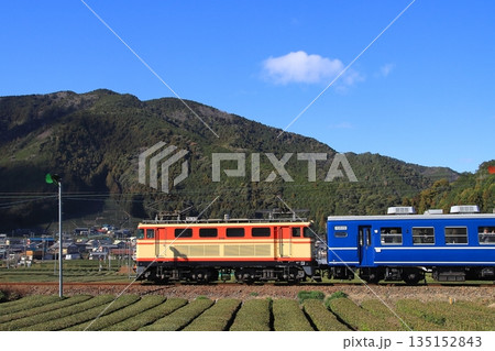 一面のお茶畑が広がる景色の中のんびりと走る大井川鉄道E32形機関車の急行列車_2026/1/3撮影 135152843