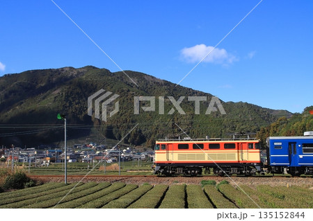 一面のお茶畑が広がる景色の中のんびりと走る大井川鉄道E32形機関車の急行列車_2026/1/3撮影 一面のお茶畑が広がる景色の中のんびりと走る大井川鉄道E32形機関車の急行列車_2026/1/3撮影 135152844