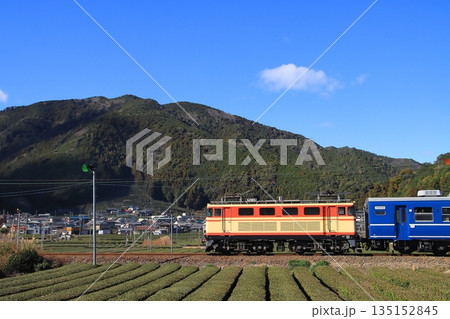一面のお茶畑が広がる景色の中のんびりと走る大井川鉄道E32形機関車の急行列車_2026/1/3撮影 135152845
