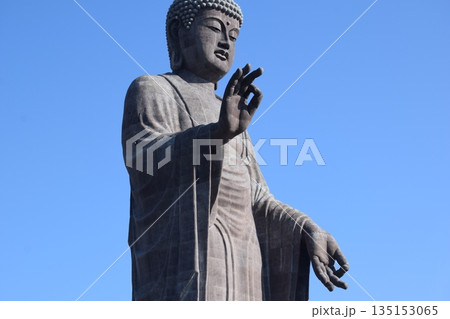 牛久大仏 世界最大のブロンズ立像 135153065