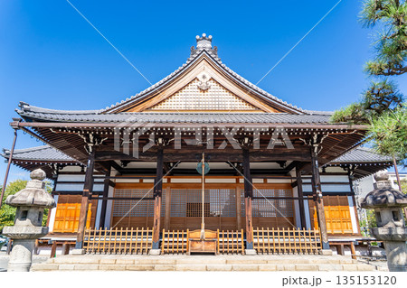 京都　西陣　大本山　卯木山（うぼくさん）妙蓮寺　本堂　芙蓉で有名な寺院　上京区寺之内通妙蓮寺前町 135153120