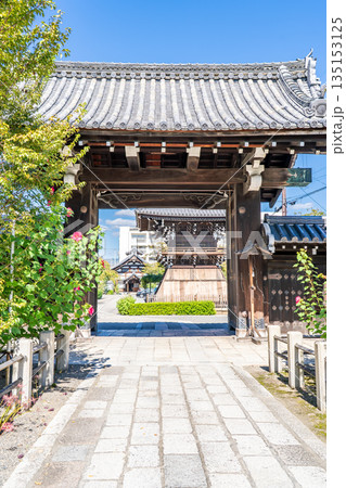 京都　西陣　大本山　卯木山（うぼくさん）妙蓮寺　山門　芙蓉で有名な寺院　上京区寺之内通妙蓮寺前町 135153125