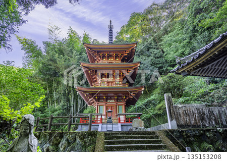 四国八十八箇所36番 青龍寺 三重塔 高知県土佐市 四国八十八箇所36番 青龍寺 三重塔 高知県土佐市 135153208
