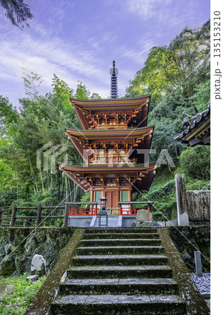 四国八十八箇所36番 青龍寺 三重塔 高知県土佐市 四国八十八箇所36番 青龍寺 三重塔 高知県土佐市 135153210