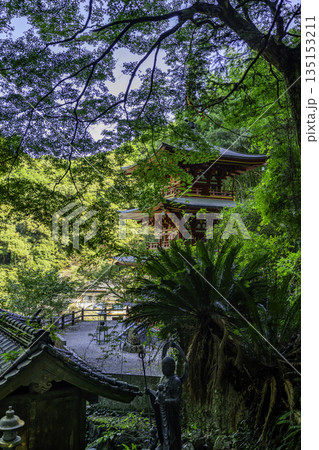 四国八十八箇所36番　青龍寺　三重塔　高知県土佐市 135153211