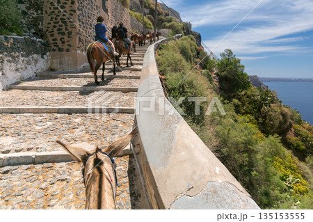 Donkey Path in Santorini Caldera, Santorini, Greece Donkey Path in Santorini Caldera, Santorini, Greece 135153555