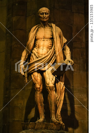 イタリア_ミラノ大聖堂 135153985