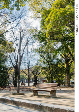 「公園」（1月）【素材】　新緑に包まれた公園のベンチ 135154150