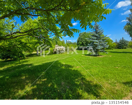 Botanical Paradise Lush Garden Splendor Botanical Paradise Lush Garden Splendor 135154546