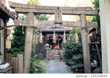猫神社(松乃木大明神) 猫神社(松乃木大明神) 135154643