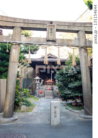 猫神社（松乃木大明神） 135154644