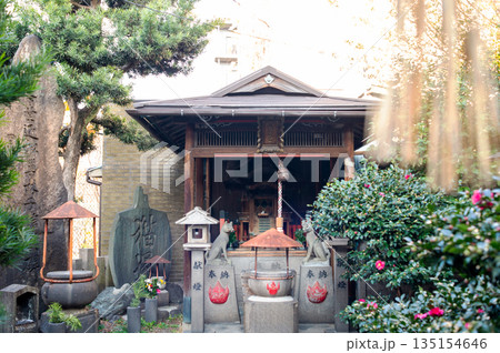 猫神社(松乃木大明神) 猫神社(松乃木大明神) 135154646
