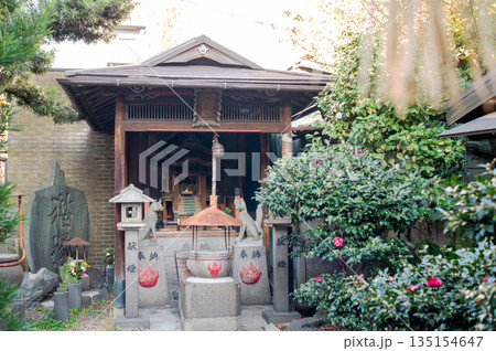 猫神社（松乃木大明神） 135154647