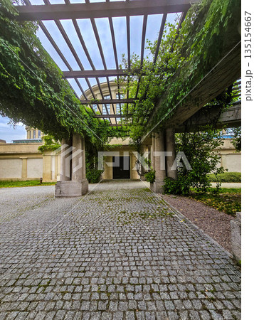 Concrete Tunnel Covered in Lush Ivy 135154667