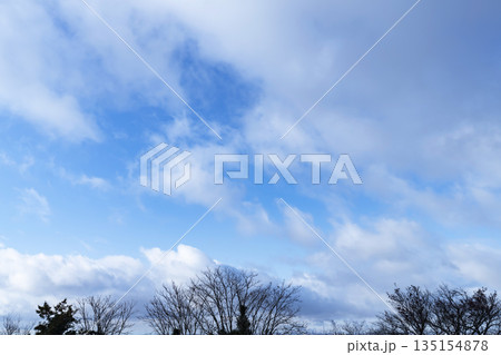 冬空と雲と木立 冬空と雲と木立 135154878