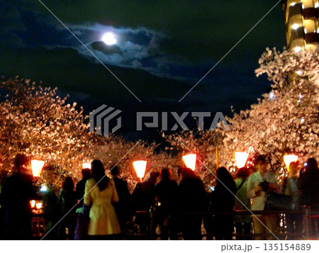 2012.4.6 目黒川の夜桜 2012.4.6 目黒川の夜桜 135154889