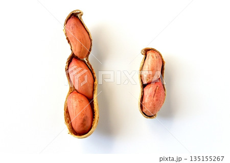 真上から見た白背景の殻を割った落花生 真上から見た白背景の殻を割った落花生 135155267