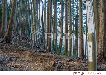 埼玉県：大平山／ハイキングコースの道標【奥武蔵グリーンライン⇔役の行者】越生町 135155275