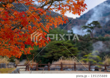 硫黄の匂い漂う雲仙地獄谷の紅葉 135155889