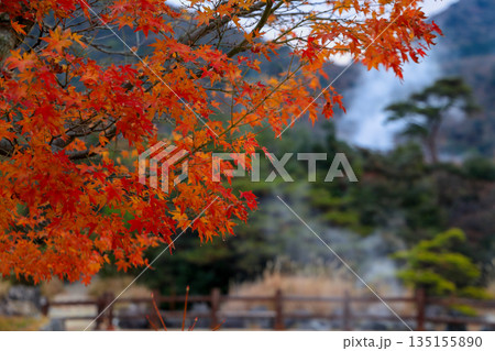 硫黄の匂い漂う雲仙地獄谷の紅葉 135155890