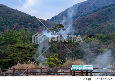 硫黄の匂い漂う雲仙地獄谷の紅葉 135156092