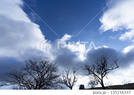 冬空と雲と木立 135156337