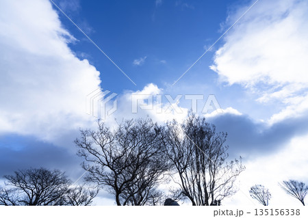 冬空と雲と木立 冬空と雲と木立 135156338
