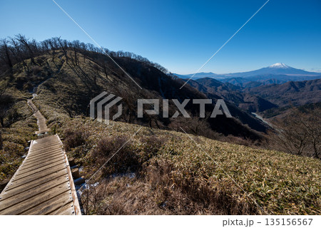 塔ノ岳と丹沢山登山、神奈川県 塔ノ岳と丹沢山登山、神奈川県 135156567