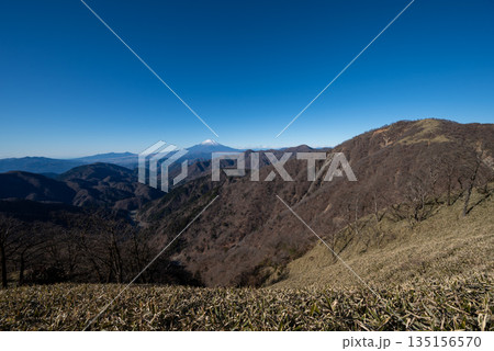 塔ノ岳と丹沢山登山、神奈川県 塔ノ岳と丹沢山登山、神奈川県 135156570