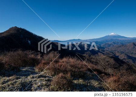塔ノ岳と丹沢山登山、神奈川県 135156575