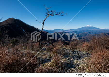 塔ノ岳と丹沢山登山、神奈川県 塔ノ岳と丹沢山登山、神奈川県 135156576
