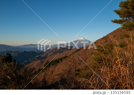塔ノ岳と丹沢山登山、神奈川県 135156585