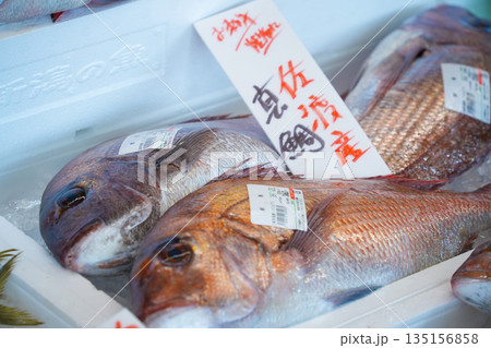 新潟県_万代島鮮魚センター_マダイ 新潟県_万代島鮮魚センター_マダイ 135156858