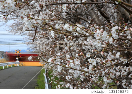 京阪電車2025040101 135156873
